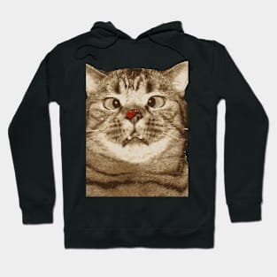 Confused Cat Edition Hoodie